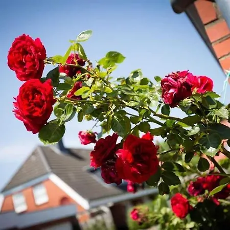 Ferienhaus Hausteil 8 Greetje *